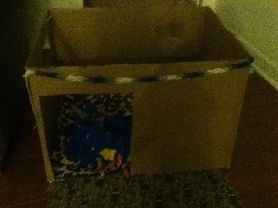 Making a cardboard doghouse