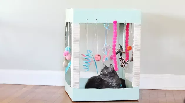 How To Make a Cat Palace