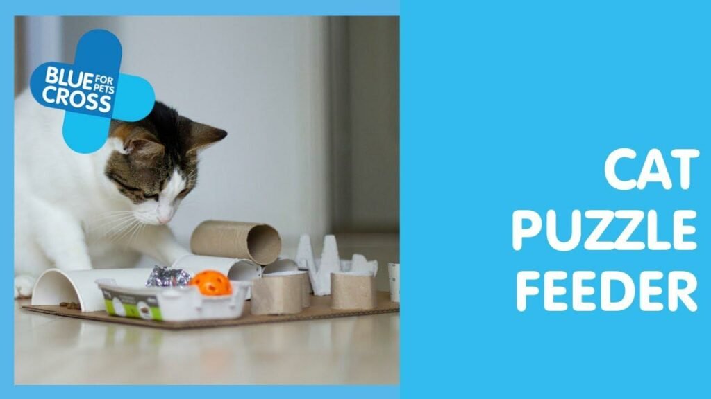DIY Cardboard Cat Puzzle Feeder