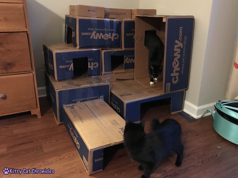 DIY Cardboard Box Fort