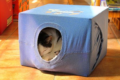 DIY Cat Tent From Cardboard and T-Shirt