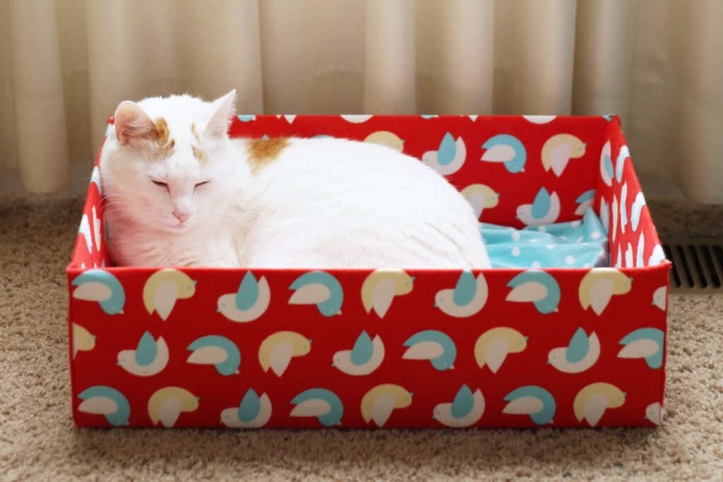 Cute Cardboard Box Cat Bed
