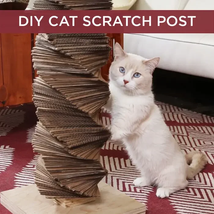 DIY Cat Scratch Post