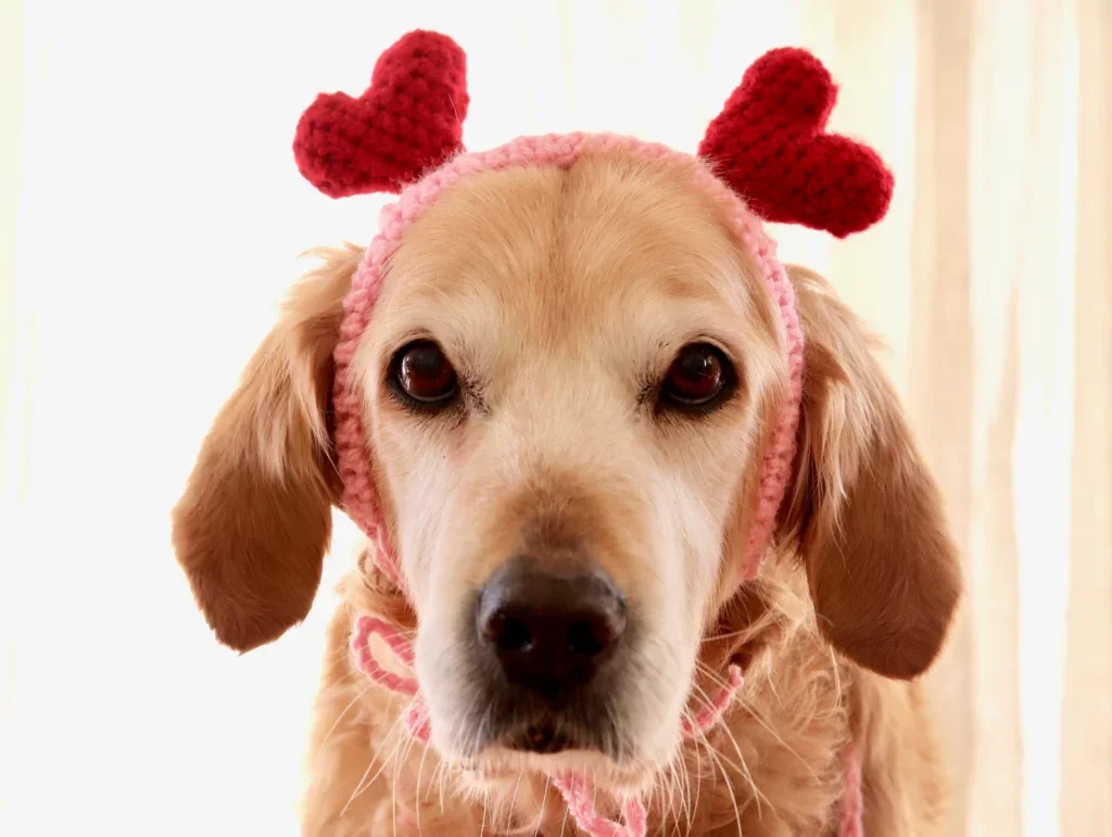 Valentine's Day Heart Headband Crochet