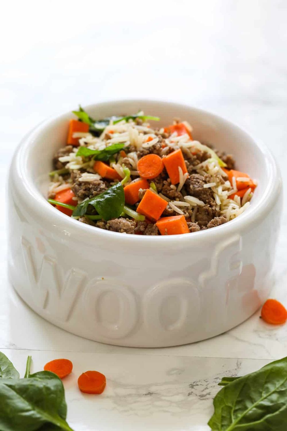9 Homemade Dog Food Recipes