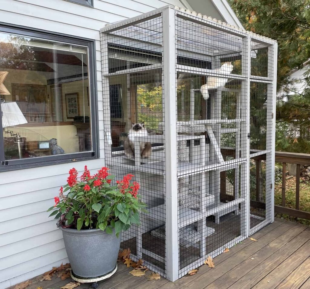 Build the Perfect Catio with Floppy Cats