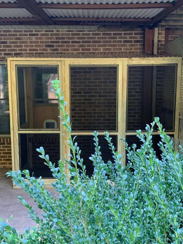 Build A Catio in A Weekend with Simple Steps