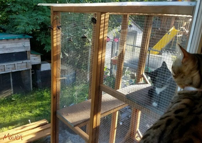 The Essentials for Building a Perfect Catio