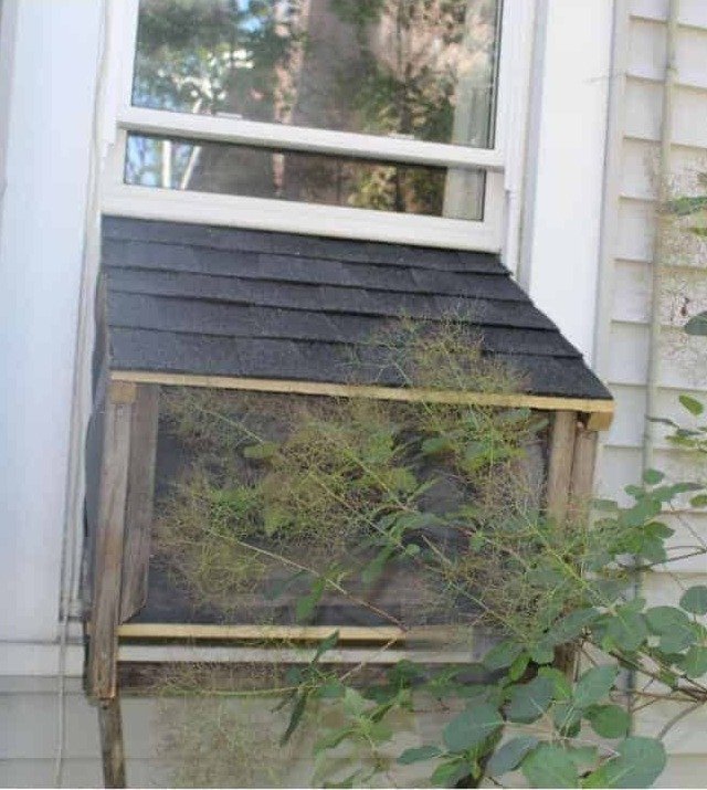 Upcycled Pallet Cat Window Box