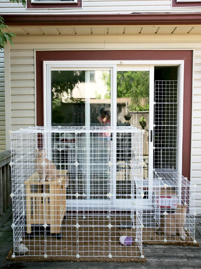 Secure Wire Cat Enclosure