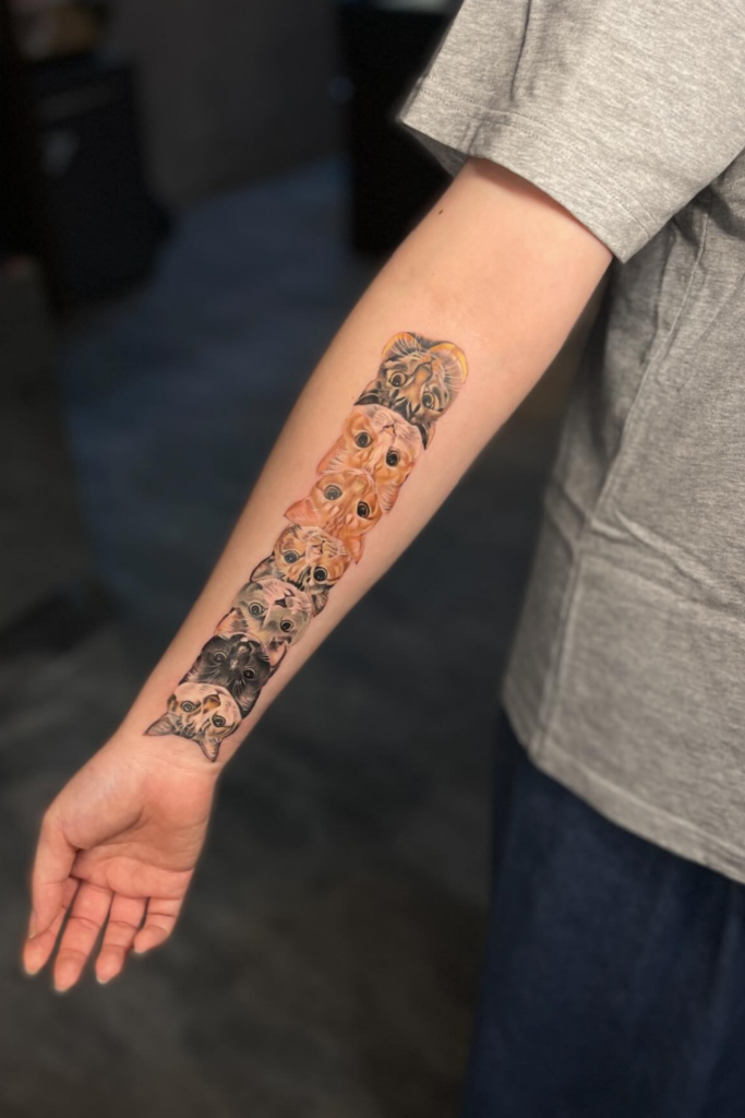 Colorful right arm tattoo featuring a collage of seven diverse and cute cat faces.