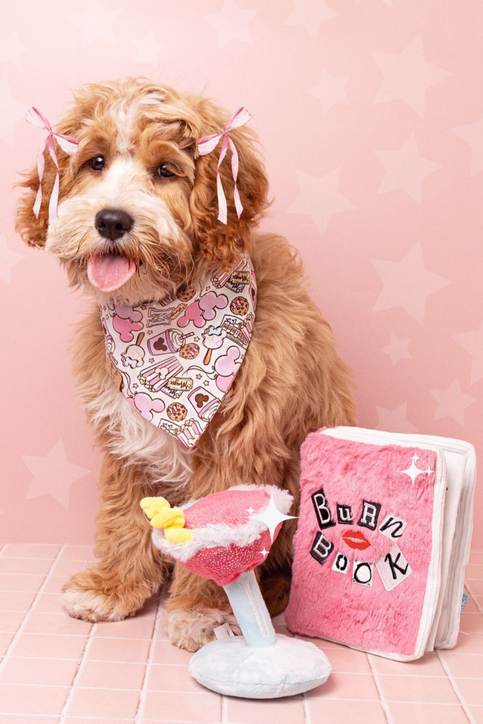Cute Cavapoo dog wearing a festive bandana sits playfully among birthday props.