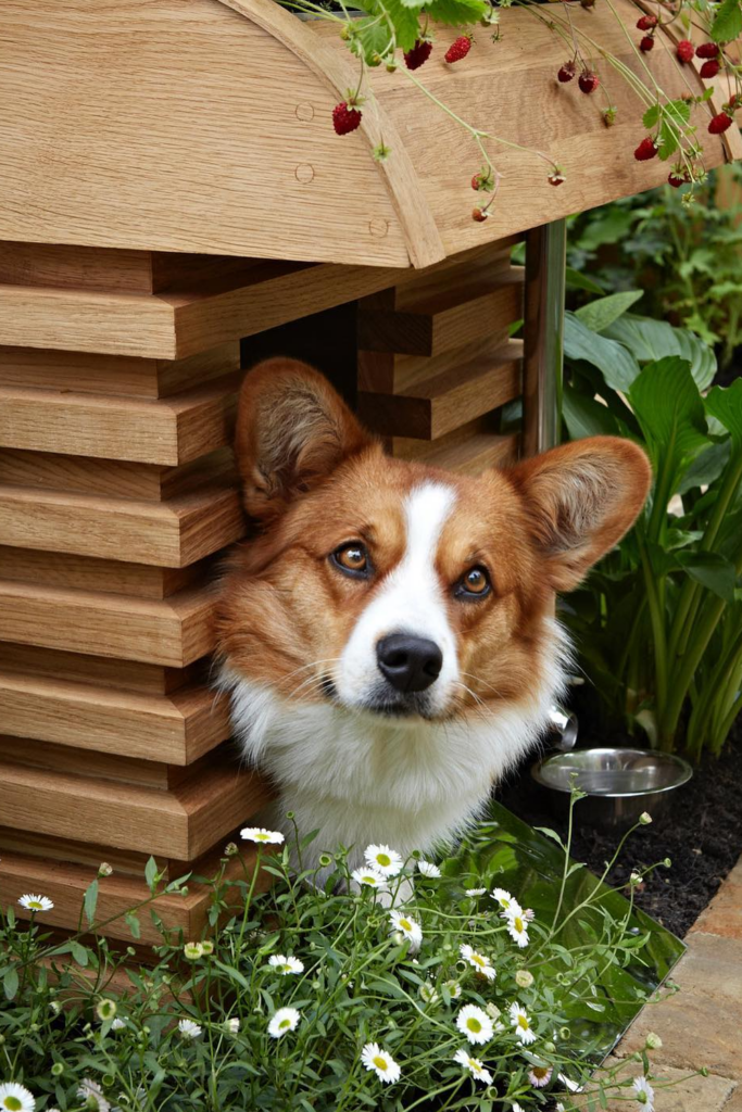 A small wooden dog house sits in a garden with green grass and plants.