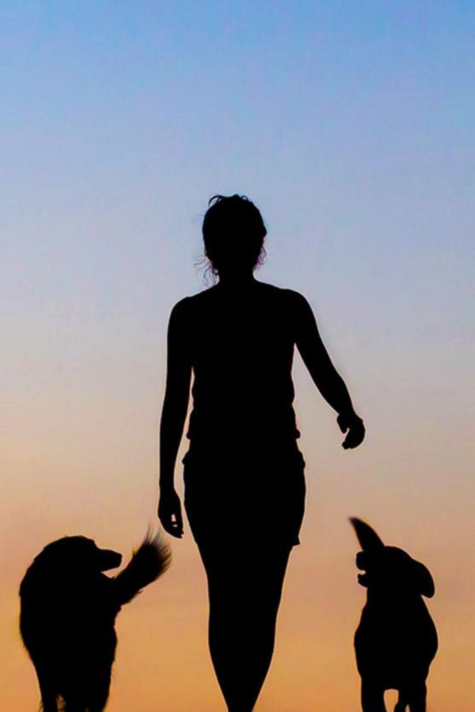 Man and two dogs silhouetted against a vibrant sunset, dogs facing opposite directions.