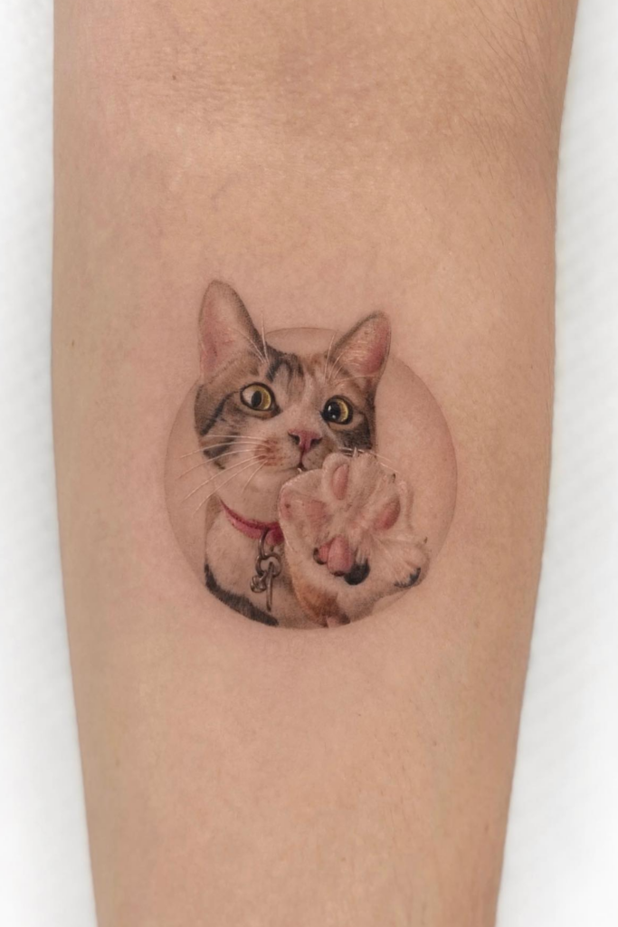 A cat showing off her paws on a tattoo