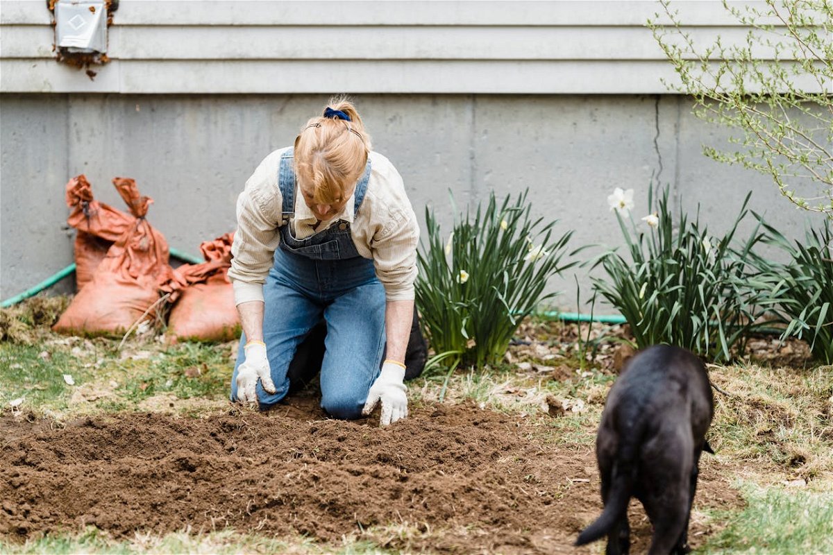 Woman working with soil in garden showing how to make a dog potty area outside