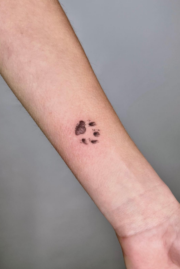 Left arm with a simple paw print tattoo