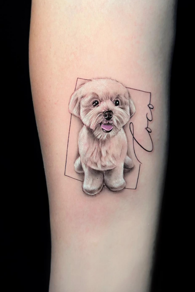 Realistic Maltipoo dog portrait tattoo.