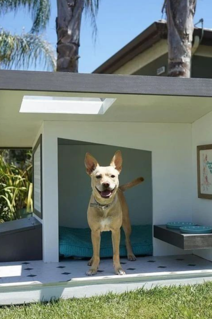 A modern dog house furnished with a comfy bed and a feeding station right outside the door. There is a dog standing by the entrance