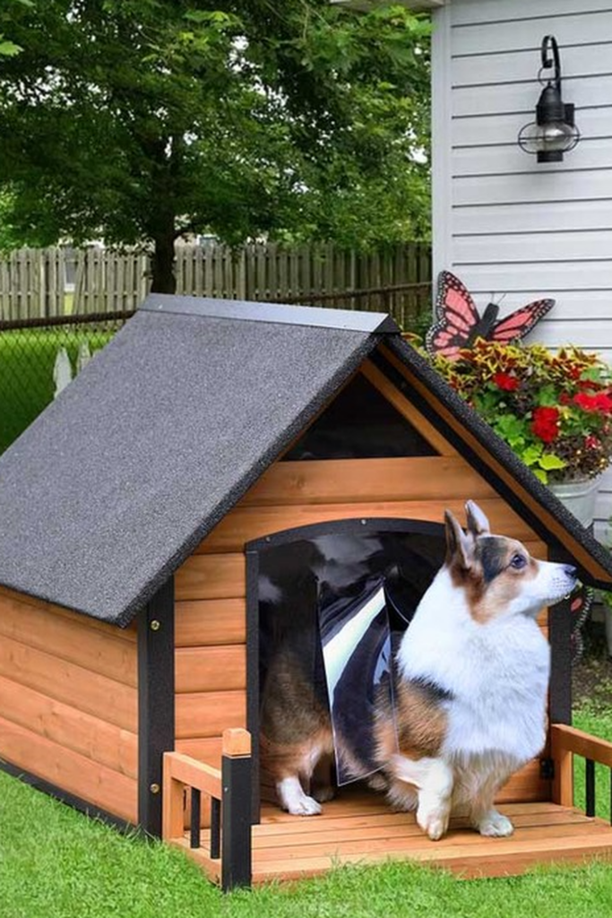 A wooden dog house painted brown with a black asphalt roof. The dog is peeping through the door