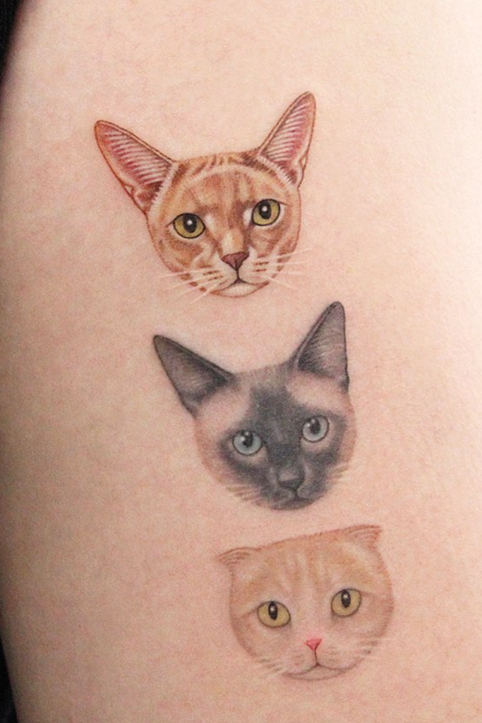 Three cat face tattoos on one arm