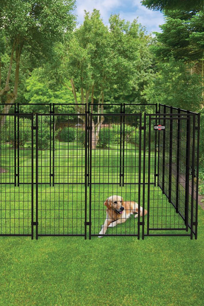 A metal wire kennel with a brown dog sitting inside. The kennel has a swinging door that latches closed.