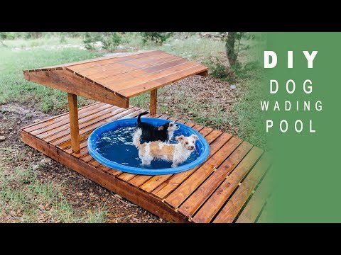 DIY Dog Pool Ideas