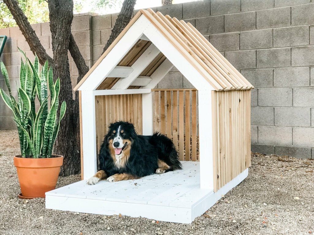 30 Easy DIY Dog House Ideas & Plans