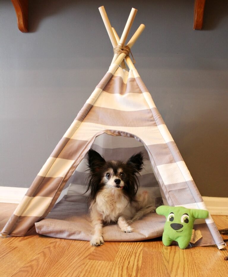 50 Easy-To-Make DIY Dog Stuff And Projects For 2024