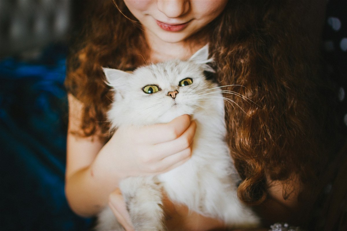 Understanding Your Overly Affectionate Cat: A Guide To Their Big Love