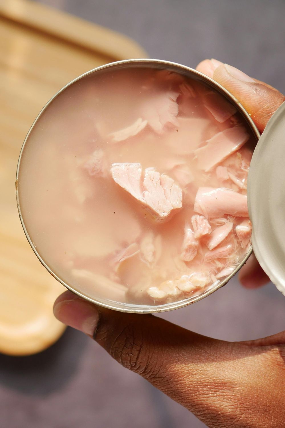 6 Easy Homemade Cat Food Recipes 6-easy-homemade-cat-food-recipes