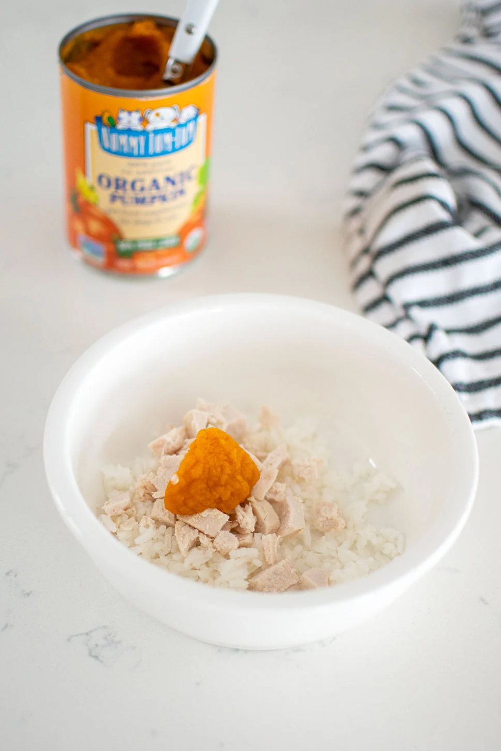 10-easy-homemade-dog-food-for-digestive-problems