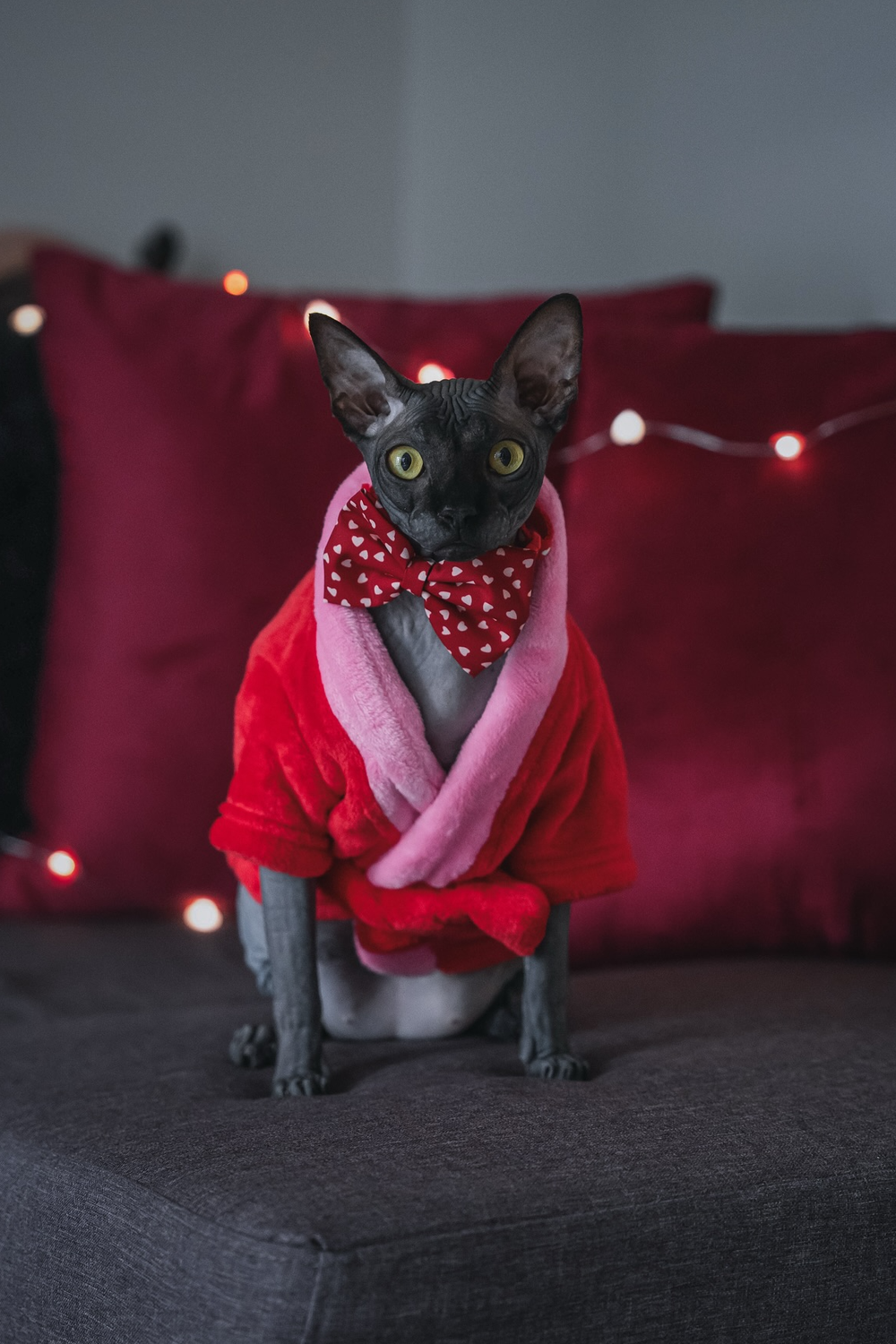 Cozy Heart-Robe Portrait